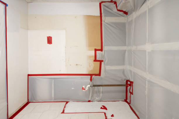 Best Comprehensive Air Testing for Mold Contaminants  in Mount Sterling, KY