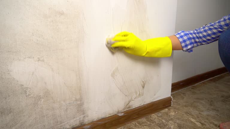 Best Air Quality Testing for Mold Spores  in Mount Sterling, KY