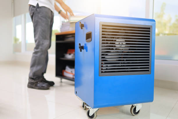 Professional Mold Removal in Mount Sterling, KY